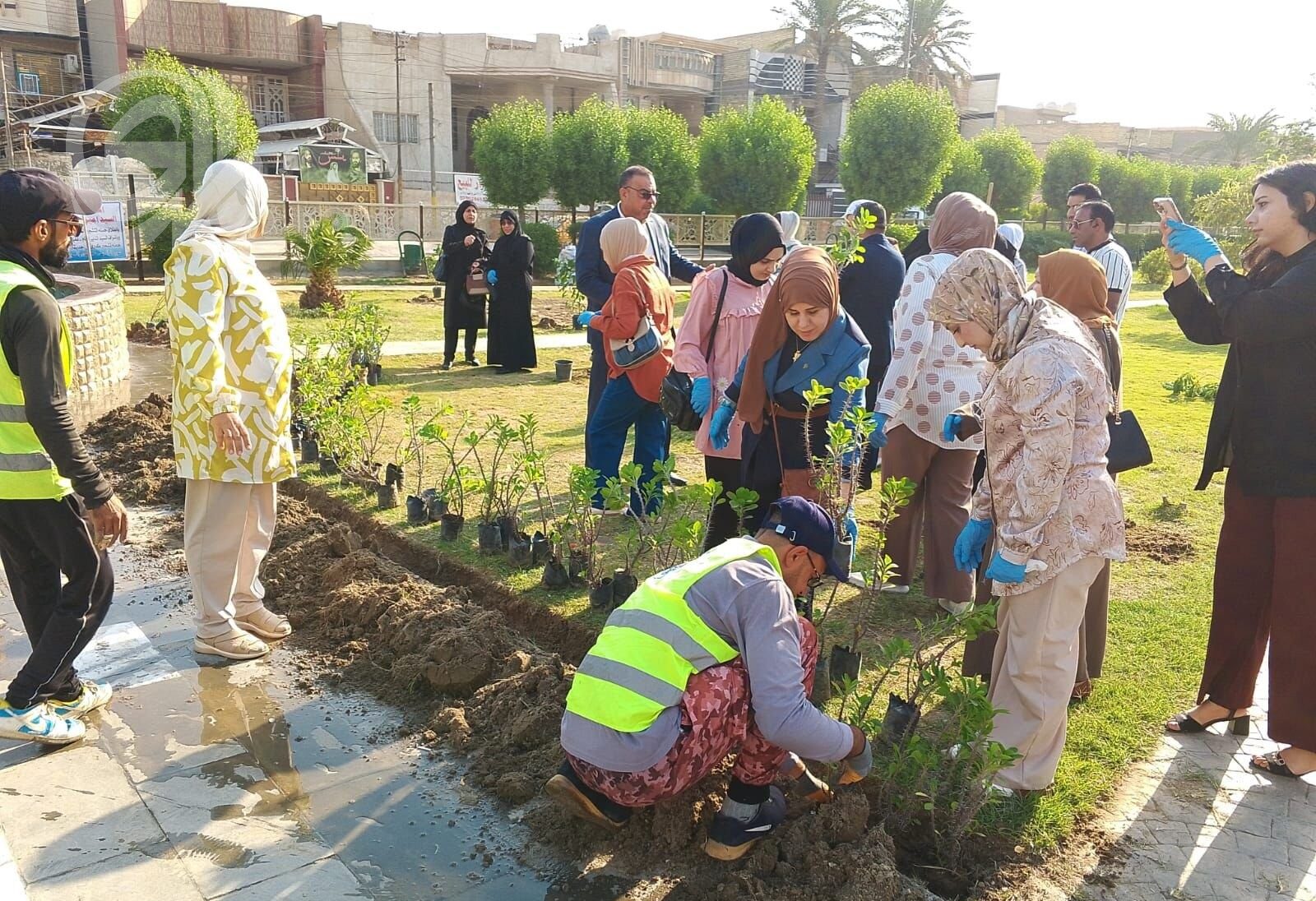 أمانة بغداد تستعد لإطلاق حملة تشجير لزراعة 190 ألف شجرة مطلع الشهر المقبل