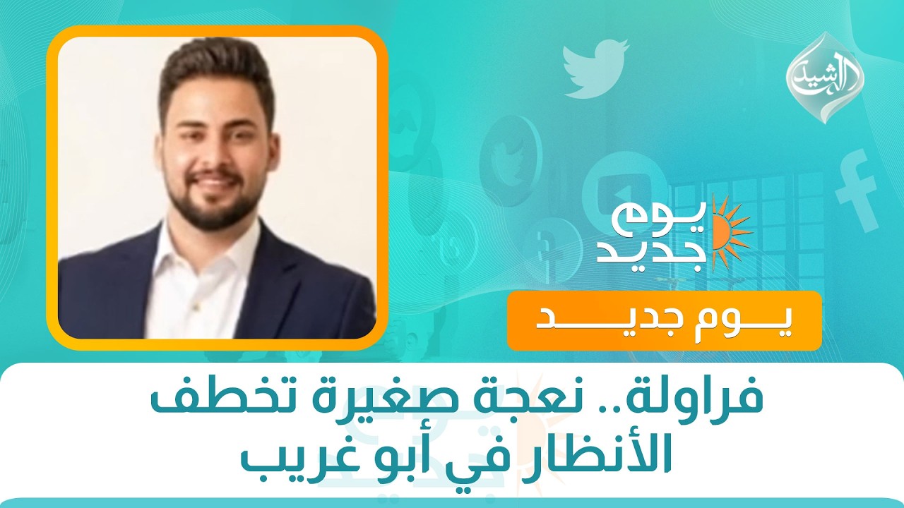 فراولة.. نعجة صغيرة تخطف الأنظار في أبو غريب