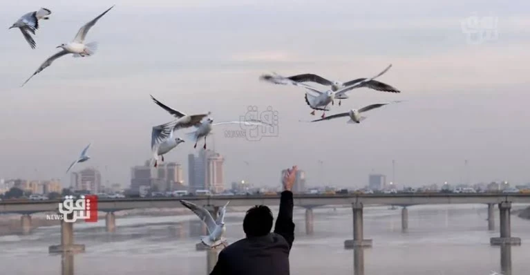 تبدأ غداً.. كتلة هوائية تلطف أجواء العراق