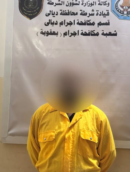 بعد هروبه الى النجف …القبض على متهم ارتكب جرائم سرقة المواشي في ديالى