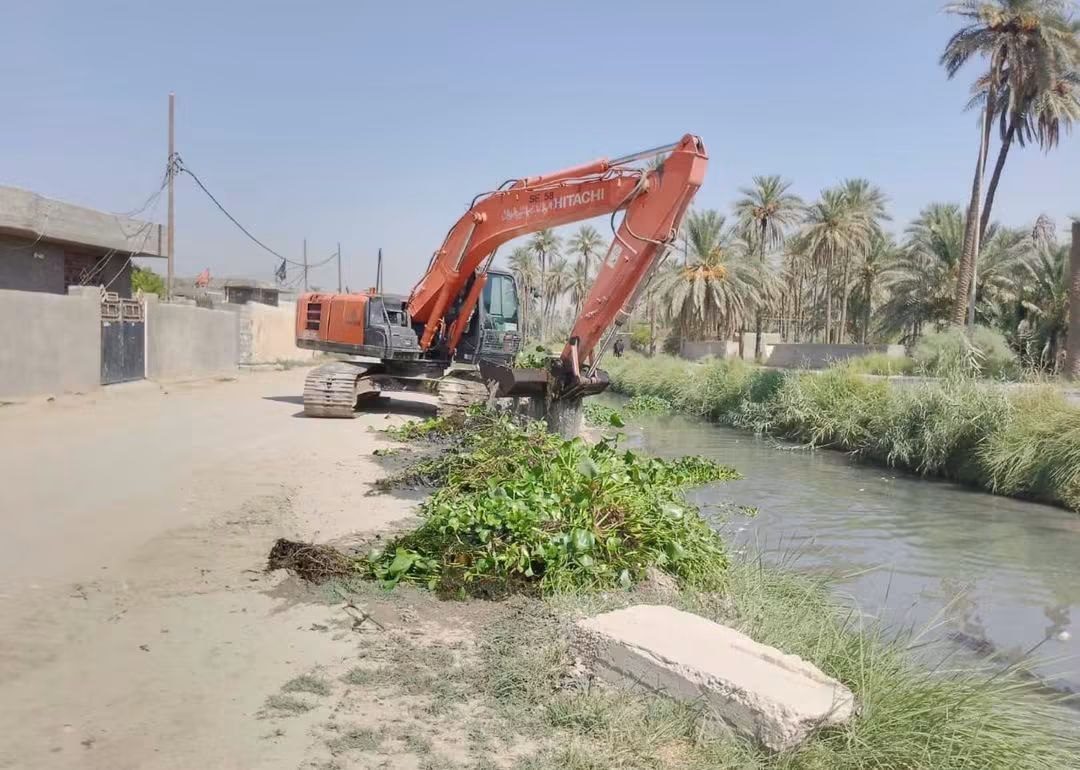 الموارد المائية تواصل مكافحة زهرة النيل وتطهير الأنهر والجداول في كربلاء