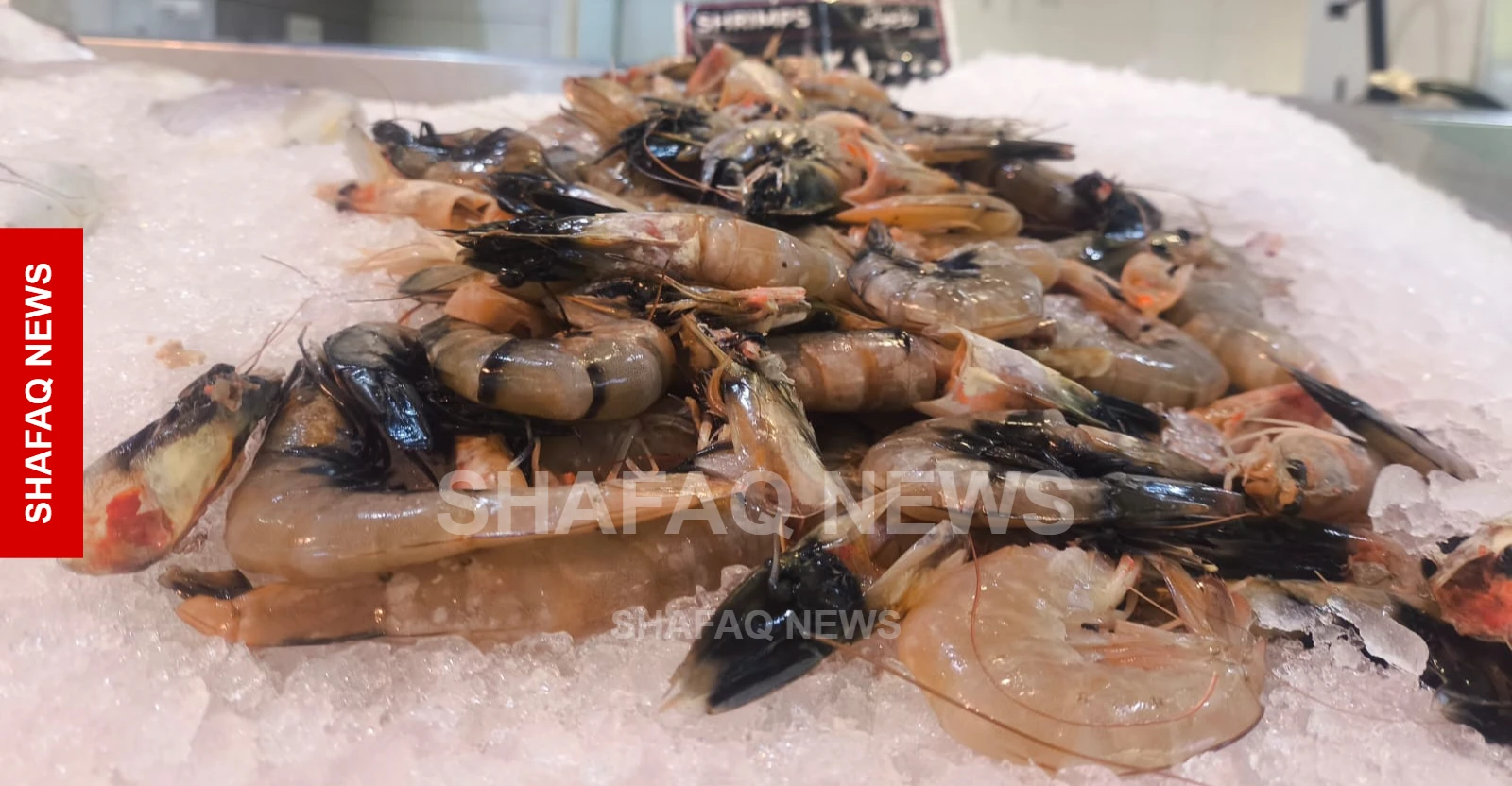 المأكولات البحرية تقتحم موائد العراقيين.. الروبيان والسلطعون وبلح البحر في الواجهة