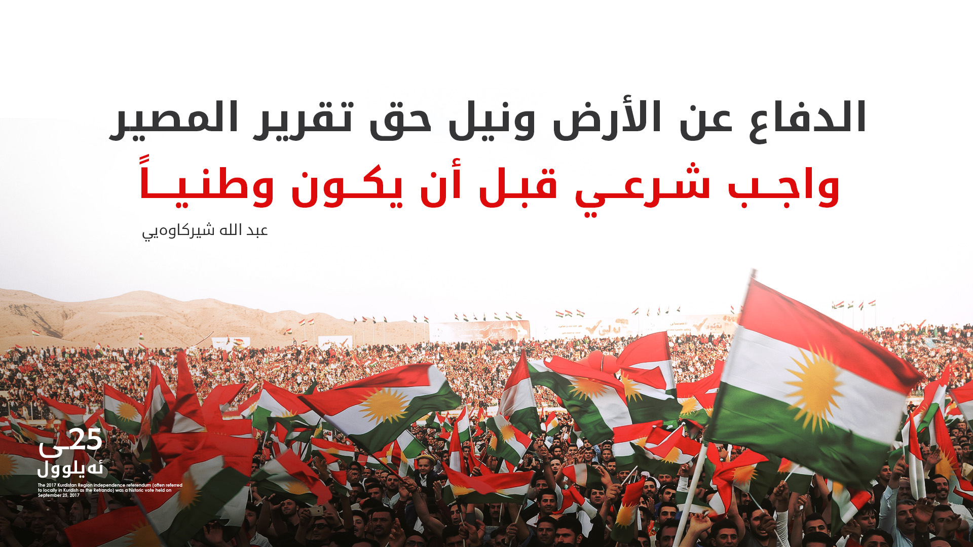 مسؤول في الأوقاف: الاستفتاء كان تجسيداً لحق إلهي مشروع وليس مجرد نشاط سياسي