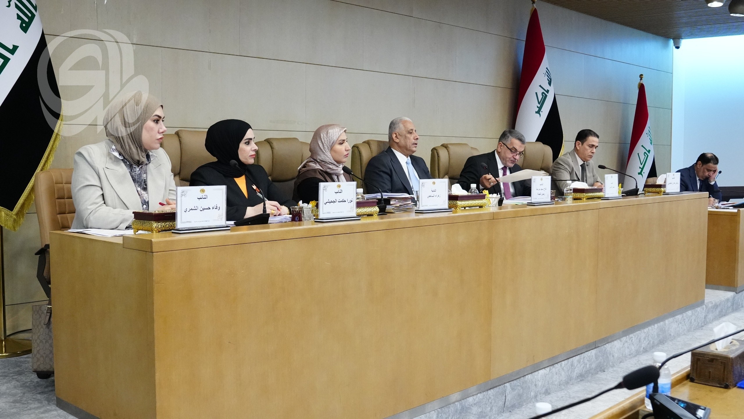 سعي نيابي لتأسيس هيئة مستقلة للطاقة المتجددة في العراق