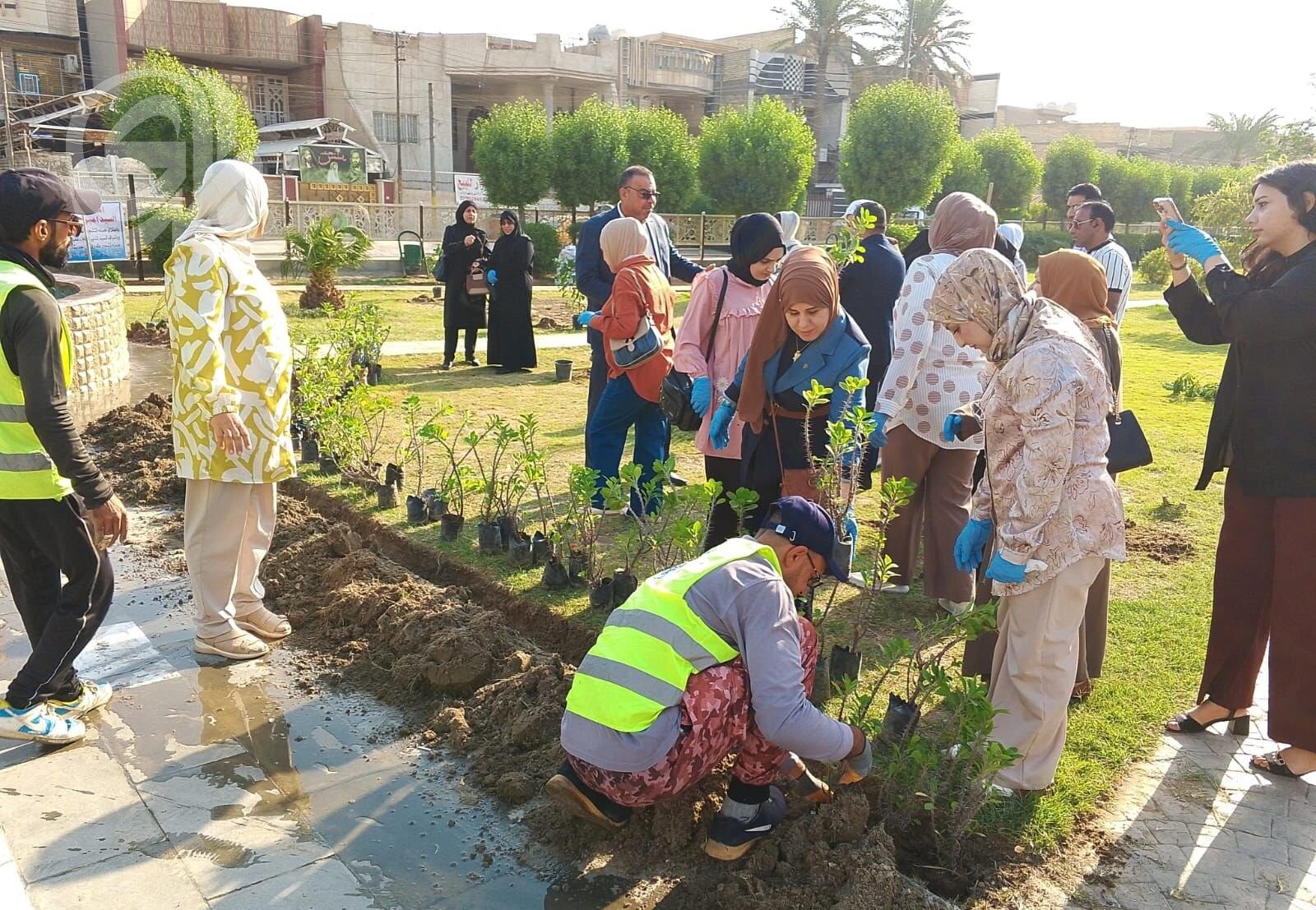 أمانة بغداد تُحدد الموعد الجديد لانطلاق حملة التشجير الخريفية وتدعو الشباب للمشاركة