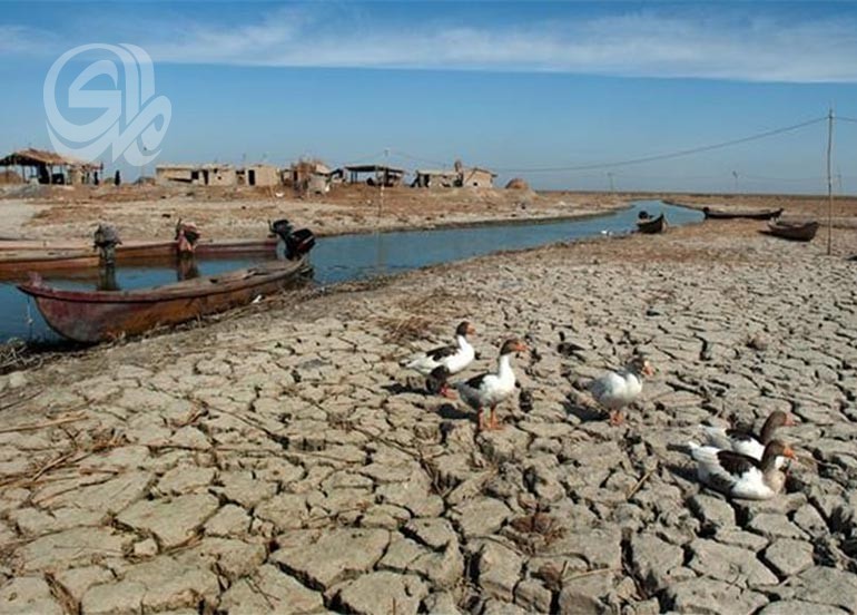 الجفاف يلتهم نصف مليون دونم بالمثنى..400 أسرة تهاجر القرى
