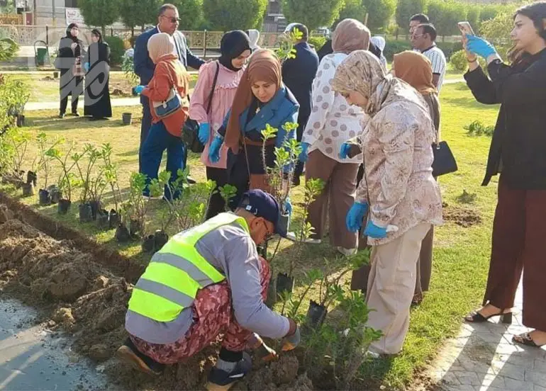 حملة خريفية لزراعة 190 ألف شجرة ببغداد ودعوات لوقف تجريف البساتين وتأمين المياه