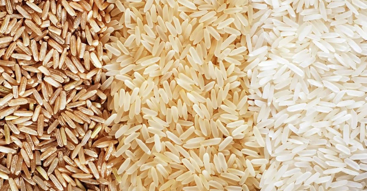 خفض كلفة الطن إلى 90 دولاراً.. خطة هندية لتعزيز تنافسية الأرز البسمتي في العراق