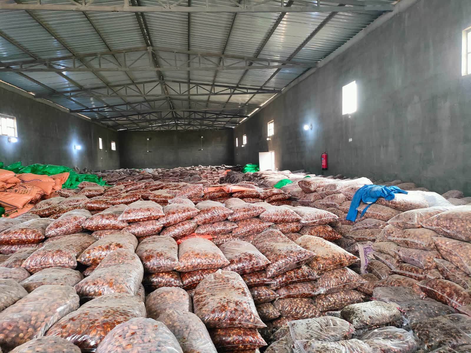 التجارة: ضبط مواد غذائية مخالفة وإغلاق معمل تمور غير مرخص في الديوانية والأنبار