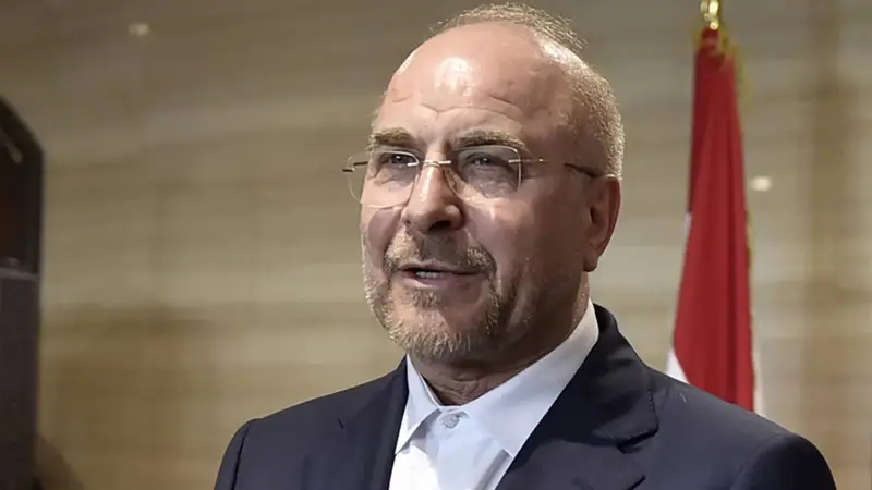 قاليباف: ترشح لانا نسيبة لمنصب الأمين العام للأمم المتحدة «ثعلب يترشح لحراسة الدجاج»