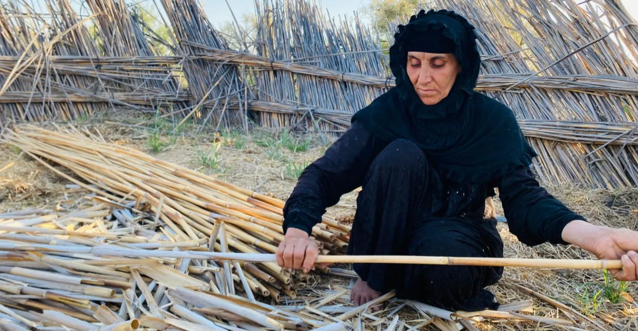 “اغتراب خارج الجنة”.. كيف دمر الجفاف والنفط سكان أهوار العراق