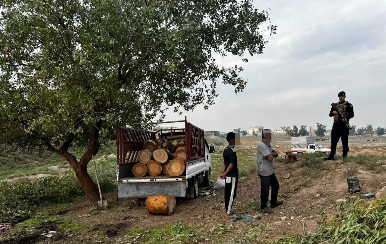 القبض على مجموعة اشخاص اثناء قطع أشجار معمرة في نينوى