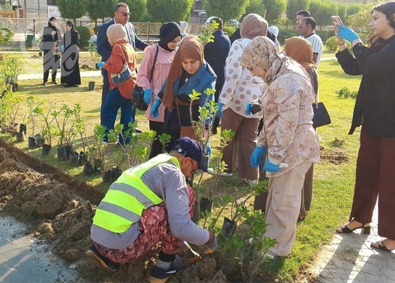 حملة خريفية لزراعة 190 ألف شجرة ببغداد ودعوات لوقف تجريف البساتين وتأمين المياه