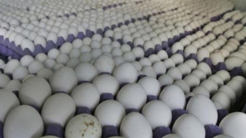 العراق يصفر الرسوم الكمركية على البيض والدجاج واللحوم الحية والأدوية حتى نهاية 2026