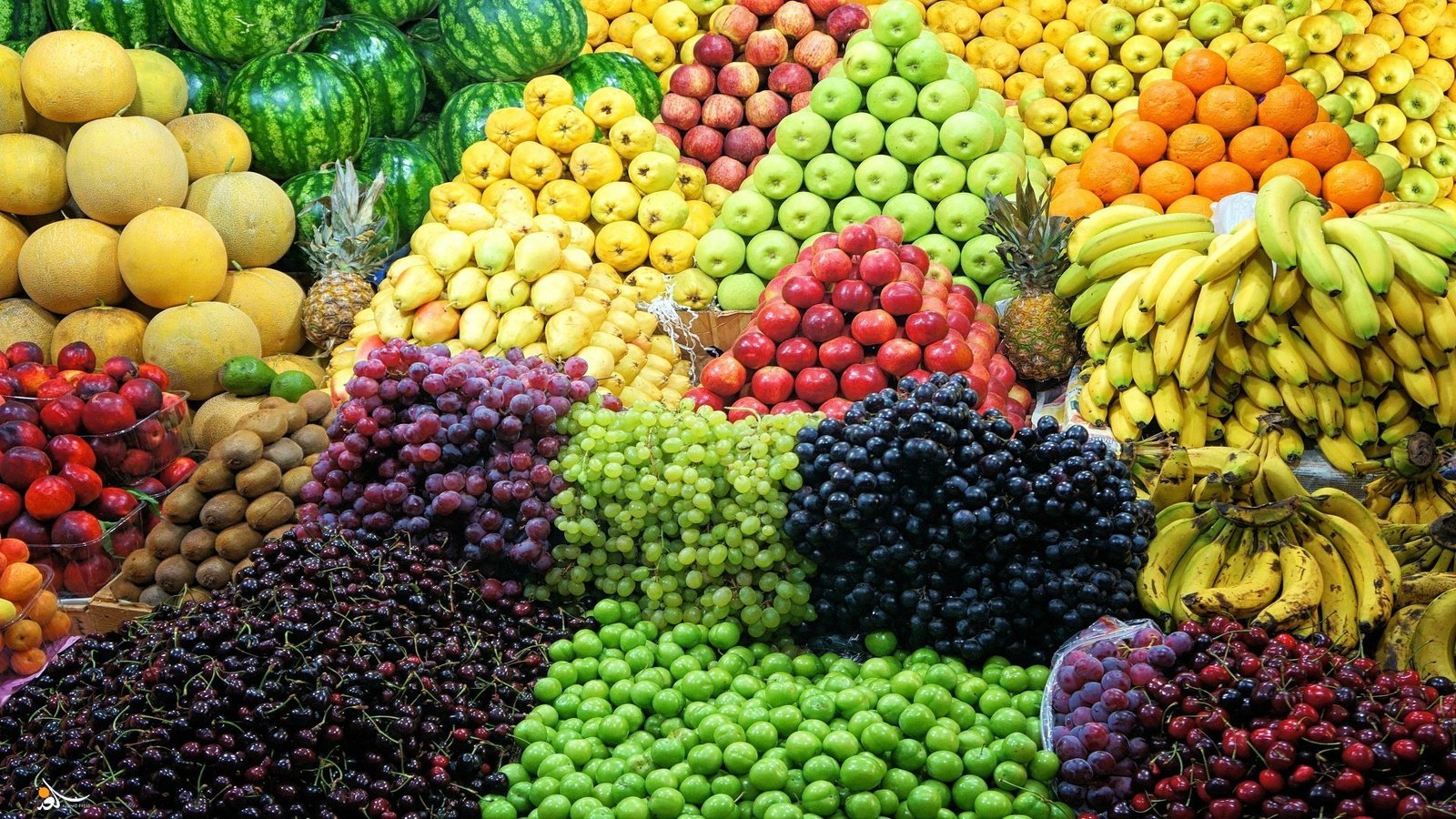 الزيدي يعود الى بغداد بعد اختتام زيارته الرسمية الى الاردن