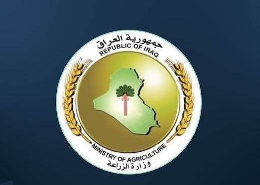 العراق يستعيد عضويته الكاملة في المجلس الدولي للزيتون